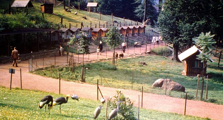 Neunkircher Zoo früher und heute Neunkircher Zoo