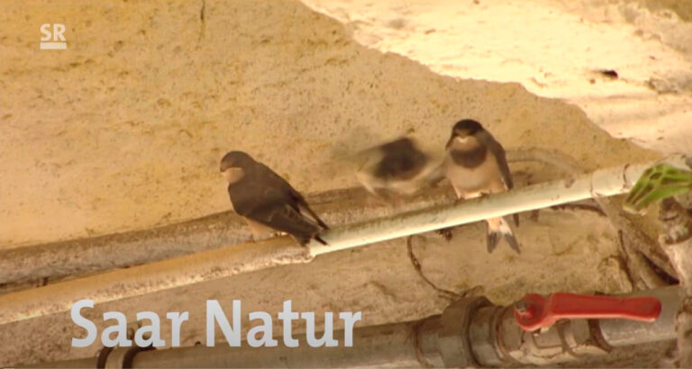 Read more about the article Saar Natur zu Besuch im Neunkircher Zoo