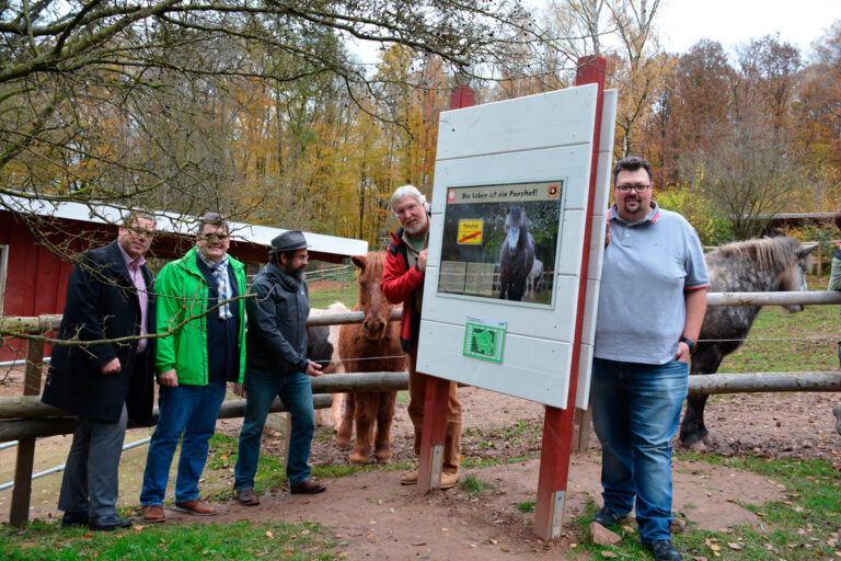 Read more about the article Neues zum Projekt „Das Leben ist ein Ponyhof“