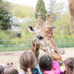 Traumnacht im Neunkircher Zoo