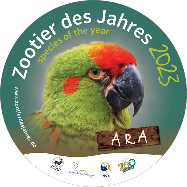 Read more about the article Der Ara ist Zootier des Jahres 2023