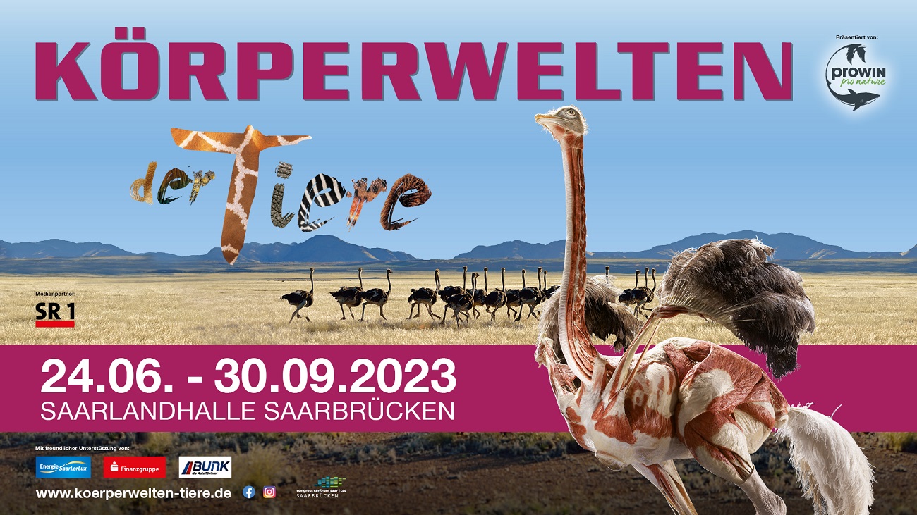 You are currently viewing Körperwelten der Tiere