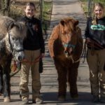 Freiwilliges Ökologisches Jahr im Neunkircher Zoo