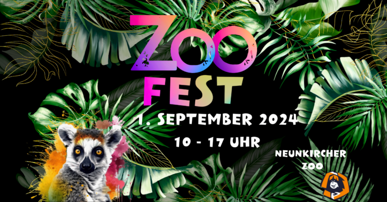 Read more about the article Zoofest 2024