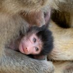 Tagung VZT Süd und TVT Treffen