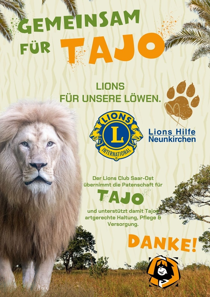 Mehr über den Artikel erfahren Lions Club Saar-Ost übernimmt Patenschaft für Löwen Tajo