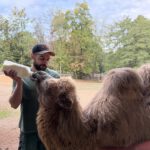 Ein Team für Tiere