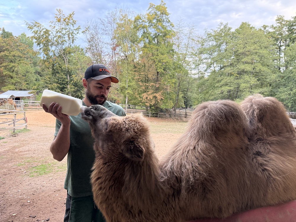 Du betrachtest gerade Ein Team für Tiere