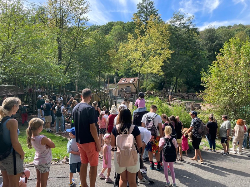 Du betrachtest gerade Zoo inside – so schön war´s beim Zoogeburtstag
